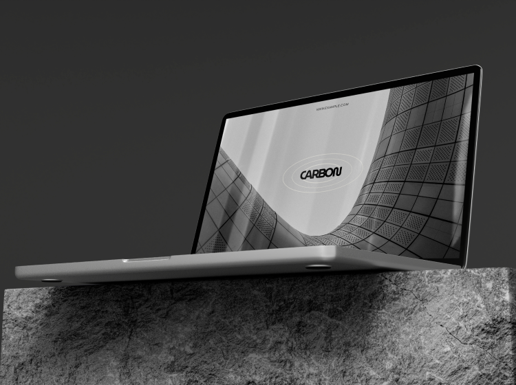 Inicio project pic 1